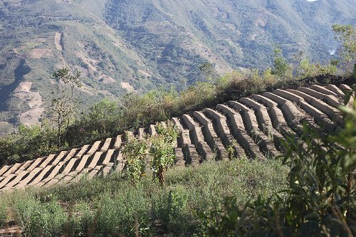 Guest Post: What is Specialty Coffee?