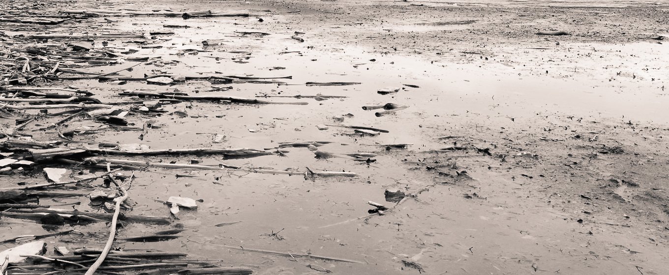 Pandemic Notes: Leaders in a time of crisis have a much greater responsibility.