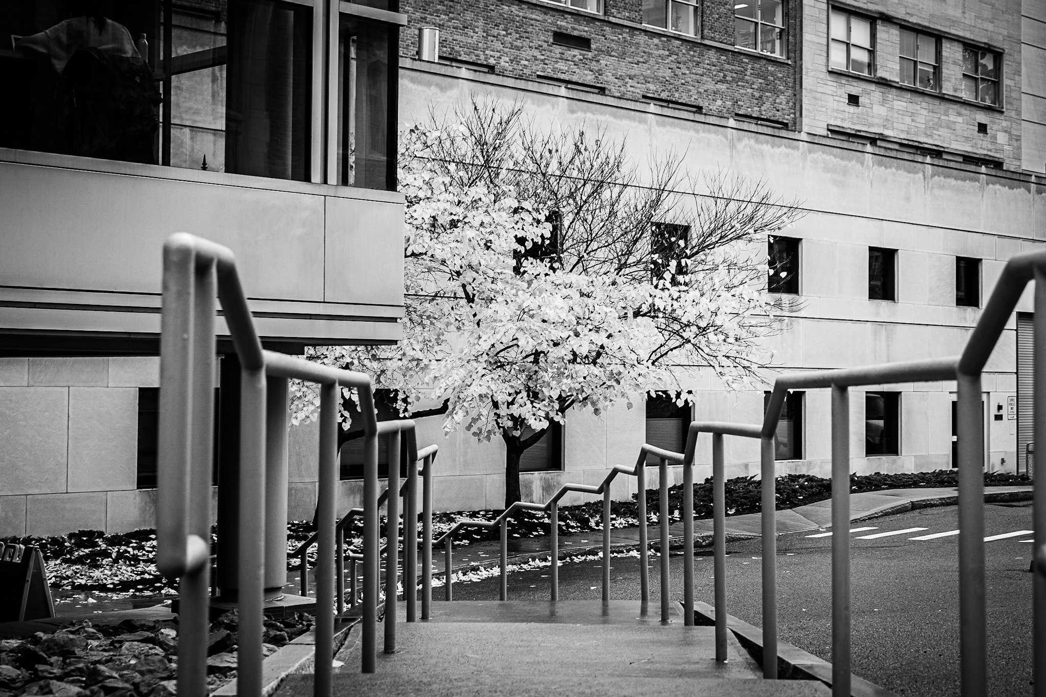 Pandemic Notes: comic relief